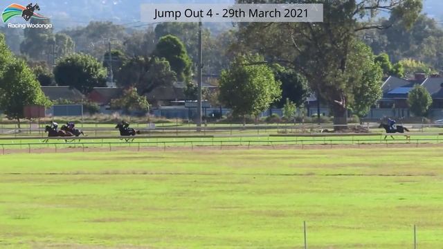 red cascade смотреть онлайн