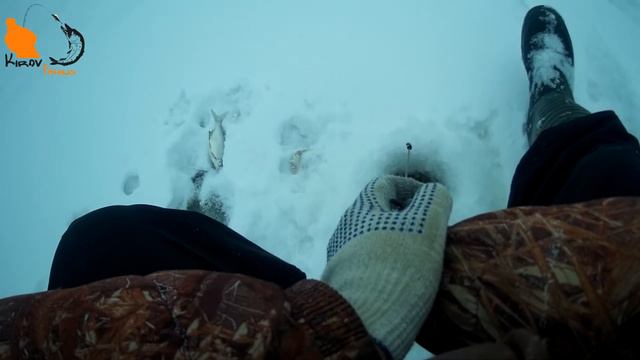 Вятка. Ловля сопы,густеры на безнасадку. #KirovFishing