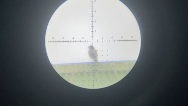 Гроза дачных участков. Охота на ворон. Кроухантинг. Crow Hunting 2023.#4 смотреть онлайн