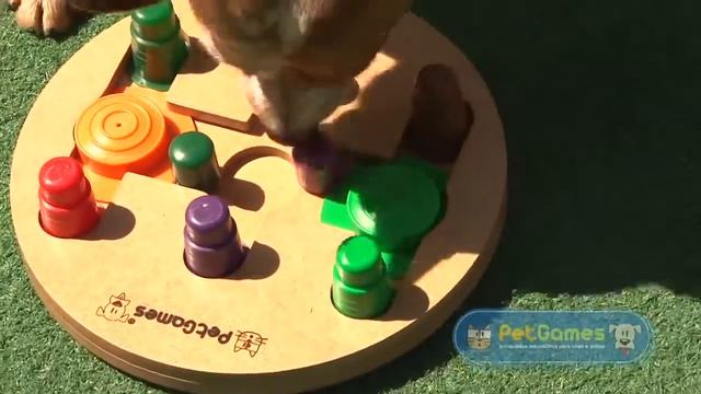 Tabuleiro Xadrez - Pet Games смотреть онлайн