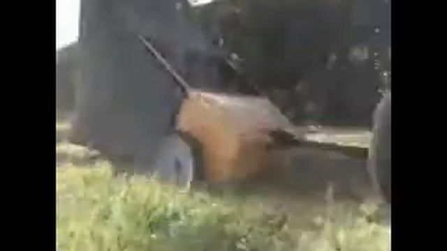 Craftsman 24229 Щетка для листвы с мусоросборником смотреть онлайн