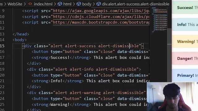 The BEST WAY Of Showing Alerts With Bootstrap смотреть онлайн