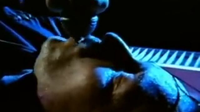 U2 – With Or Without You (Live in Boston 2001) смотреть онлайн