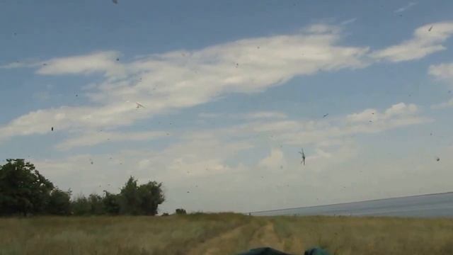 Полет саранчи часть-2 смотреть онлайн