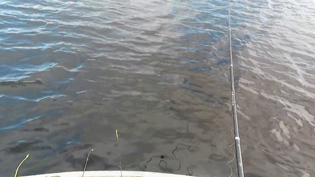 Нахимовское озеро (часть 2) смотреть онлайн