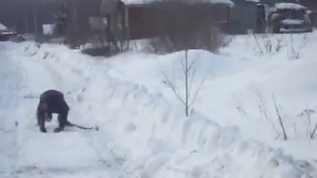 Впервые на лыжах. Лыжник. Часть№2. Юмор. смотреть онлайн