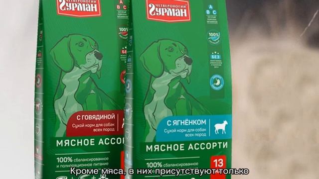 Четвероногий гурман: консервы для собак и сухие корма