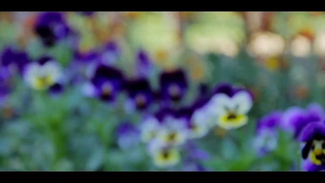 Отдых в Форосе Крым!