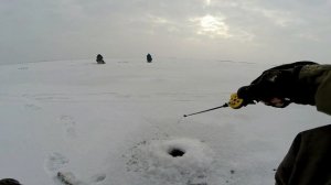 Эта СЕКРЕТНАЯ ДЕДОВСКАЯ снасть не оставит окуню шанса! Ловля окуня на конус. Зимняя рыбалка на окун