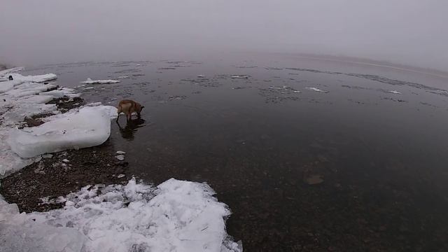 Ты куда полез? смотреть онлайн