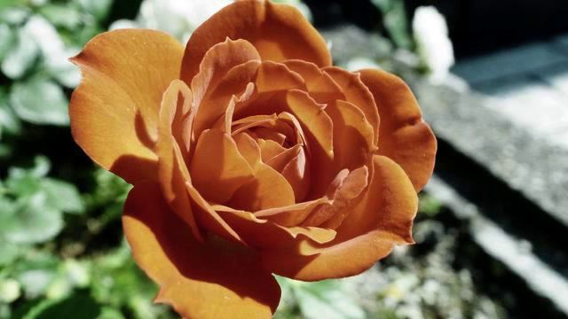 Слушать лучшую песню в машину онлайн смотреть онлайн