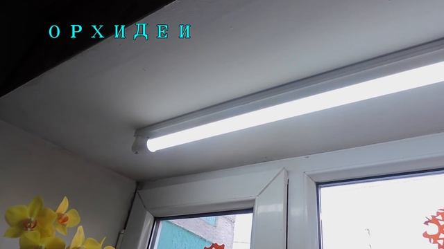 ИСКУССТВЕННАЯ ДОСВЕТКА ОРХИДЕЙ!!! смотреть онлайн