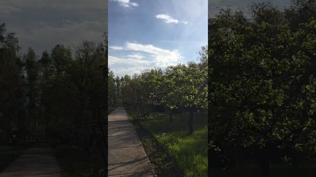 Иссык куль Санатории Аврора смотреть онлайн