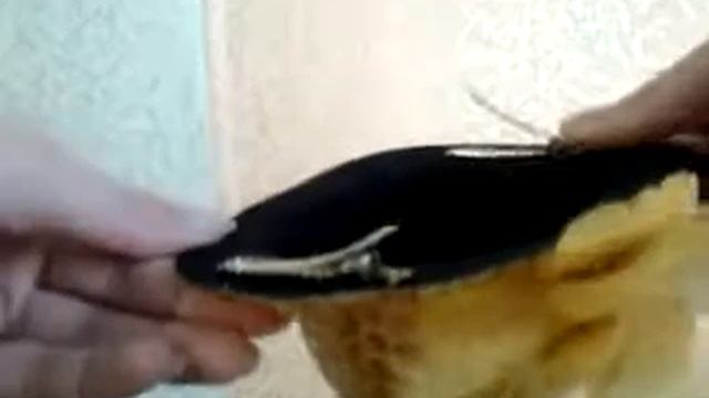 Али экспресс Шляпка-заколка для волос смотреть онлайн