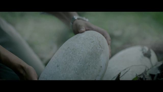 Deep Sea Python (深海巨蟒) - 2023 - Movie Trailer - English Subtitles смотреть онлайн