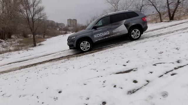 2020 ŠKODA KODIAQ - дизель лучше бензина?