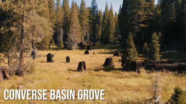 NO CROWDS, Hidden Gem National Park! | Kings Canyon Travel Guide смотреть онлайн