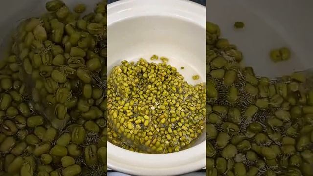 Green Beans Dessert Recipe