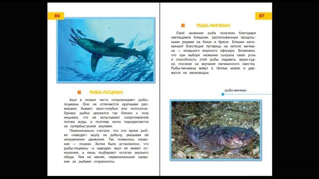 Подводное царство