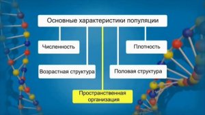 Популяция - элементарная единица эволюции. Видеоурок по биологии 11 класс