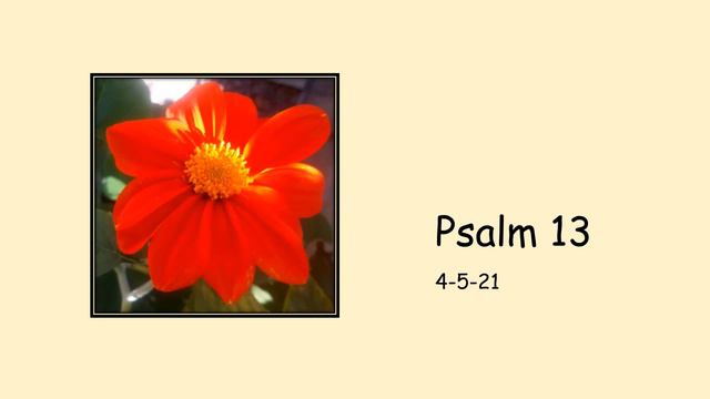 4-5-21 Psalm 13 смотреть онлайн