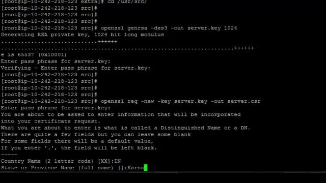 Installing Openssl on Apache/2.4.2 смотреть онлайн