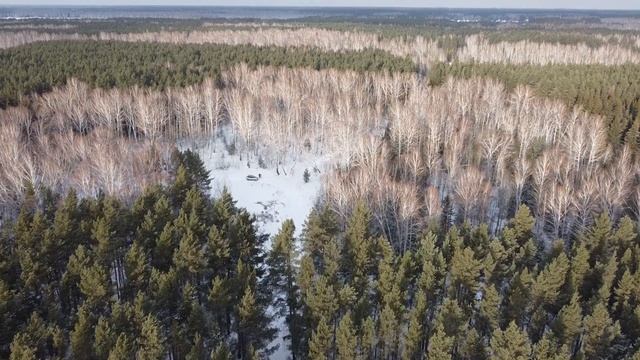 Как мы семьёй съездили отдохнуть в Чернолучье. смотреть онлайн