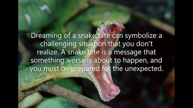 Snake Bites In Dream And Interpretation