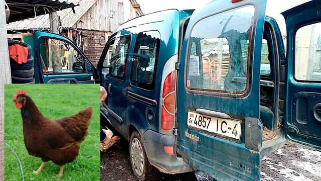 Содержание кур. Зачем нам столько? Жизнь в деревне / Keeping chickens. Village life. смотреть онлайн