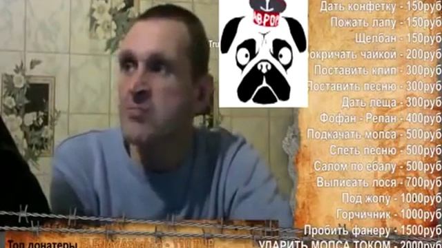 нарезка боли мопса лоси, удары шокером, горчичники смотреть онлайн