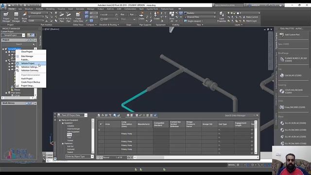 Autocad plant 3D Project Manager смотреть онлайн