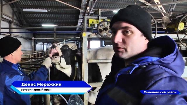 Мобильная ветлаборатория начала обследовать животных в Нижегородской области смотреть онлайн