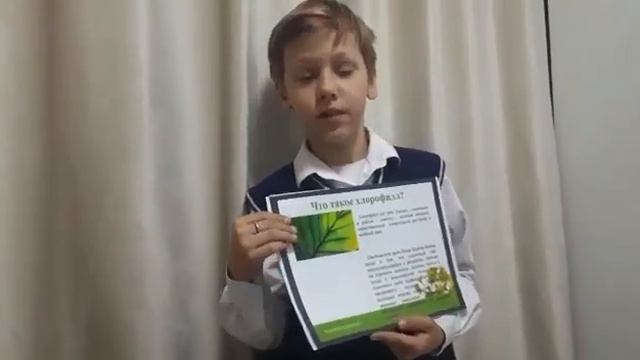 Сметанкин Алексей 3 «Г» класс Тема: «Кто красит листья в зеленый цвет?» смотреть онлайн