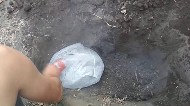 Как правильно сажать ГОЛУБИКУ смотреть онлайн