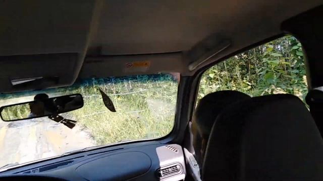 Охота на кедровую шишку, часть1 смотреть онлайн