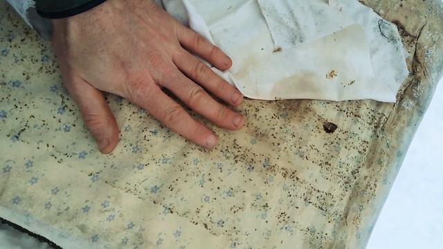 Расплод в январе. смотреть онлайн