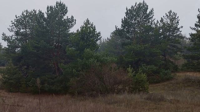 В какое время суток родился человек, так и сложится его судьба... смотреть онлайн