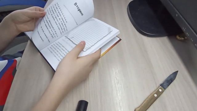 распаковка книжки (дневник Стива 1) смотреть онлайн