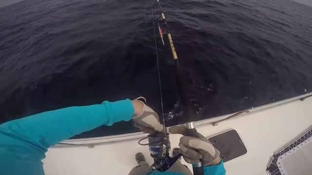 Cпинниг, каранксы, тунцы, парусники¦ Рыбалка на Сейшелах 2017 смотреть онлайн