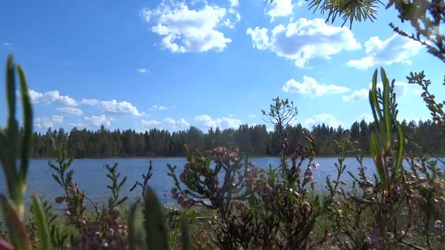 Карелия. Начало августа. Купаемся и загораем. смотреть онлайн