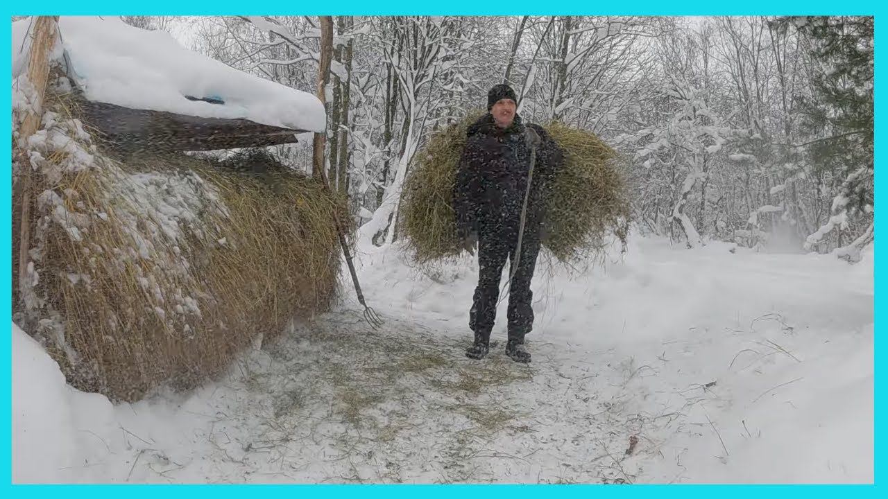 Снежные деньки хозяйства в деревне! ❄️❄️❄️ смотреть онлайн