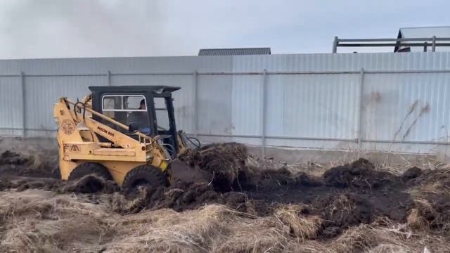 МКСМ 800 смотреть онлайн