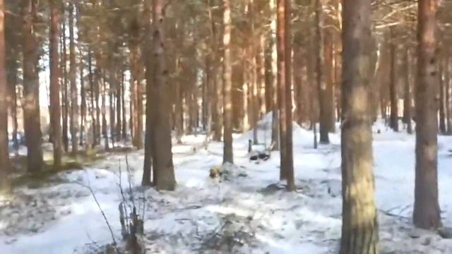 Планета муравьёв смотреть онлайн