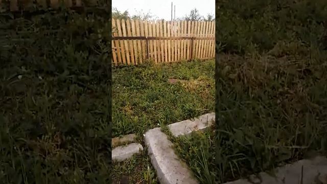 Снт весна дача для отдыха смотреть онлайн