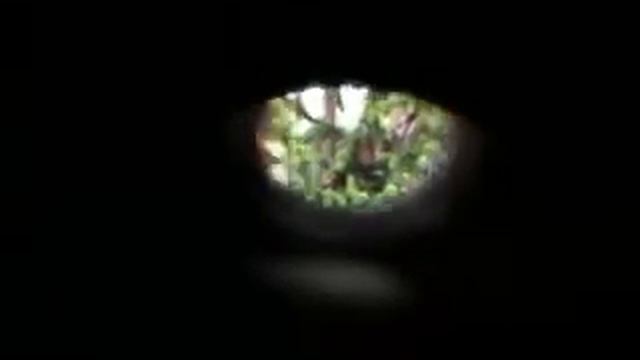 Digiscoping, genom en tubkikare, Focus Target. смотреть онлайн