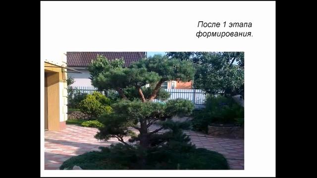 Ландшафтная среда с Выборным Владимиром Выпуск №7. 10 .06.2015 г. смотреть онлайн