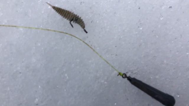 Рыбалка на джиг силиконом! Куда делась рыба?!