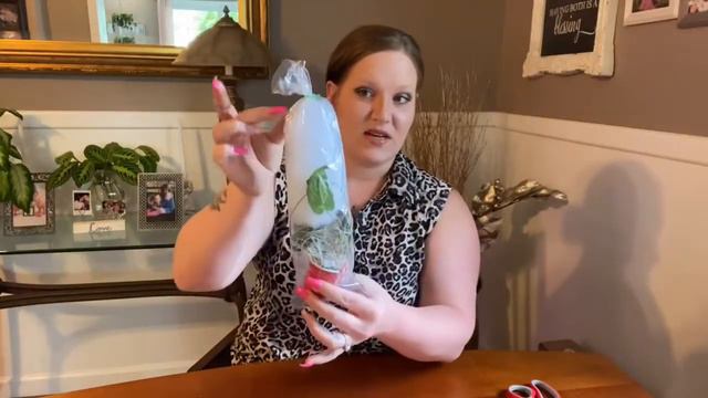 UnBox with ME! ||RARE PLANT|| Syngonium Rayii! смотреть онлайн