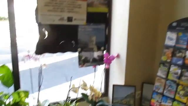 Франция - Монако (2ч - Босолей) смотреть онлайн