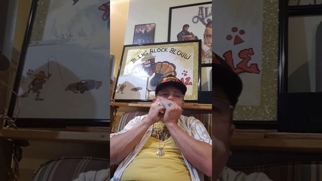 Terry Davis the Harmonica Playing Man Up Off These Old Back Roads. смотреть онлайн